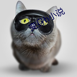 变身h小说 （鬼哭狼嚎）