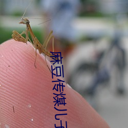 麻豆传煤儿子和小姨妈