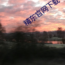 精(精)东官网下载