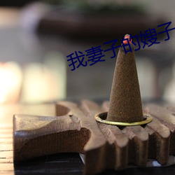 我妻子的嫂子