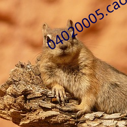 04020005.caomei17.xyz…