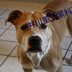 井川里予(yǔ)黑料百度云(yún)