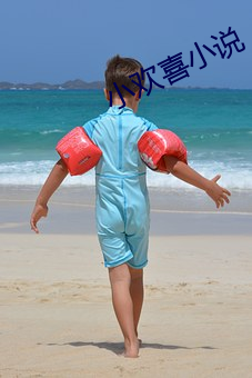 小欢(huān)喜小(xiǎo)说