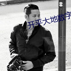 开(開)平大(大)地数(數)字影院