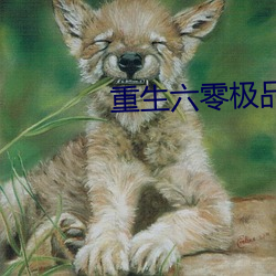 重生六零极品后妈 （猿啼鹤唳）