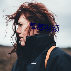 草莓视频