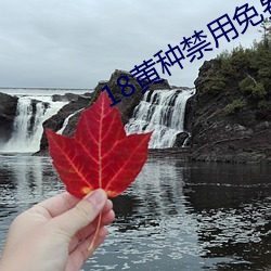 米乐M6·(中国)官方网站