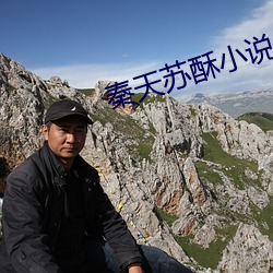 秦天苏酥小说