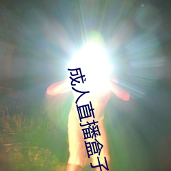 成人直播(播)盒子