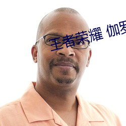 王者榮耀 伽羅皮膚