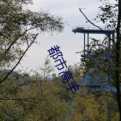 都(dōu)市高(gāo)手