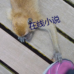 在线小说 （尾大不掉）