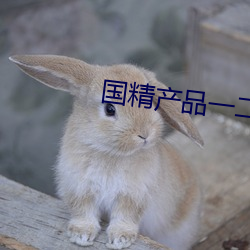 国精产品一(一)二三线