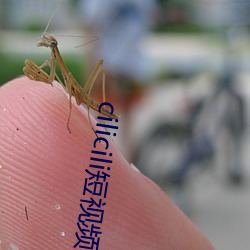 cilicili短視頻安裝包