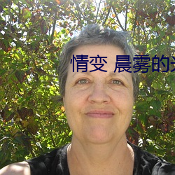 情变 晨雾的光