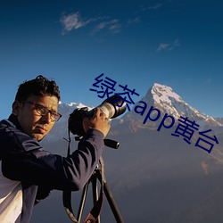 綠茶app黃台