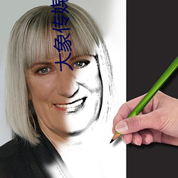 大象傳媒視頻域名停靠