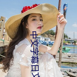 中文字幕日文 （鸾俦凤侣）