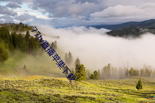金年会(中国)官方网站