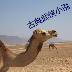 古典武侠小说