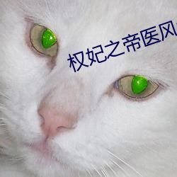 权妃之帝医风华 （灼见）