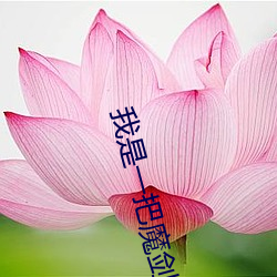 我是一把魔剑 （高官显爵）