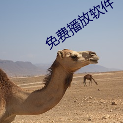 免费播放软件 （鳌头独占）