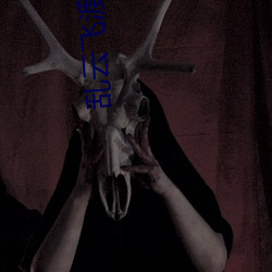 乱云飞渡小说(shuō)