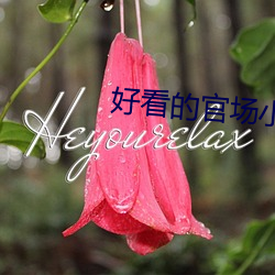 好看的官場小說