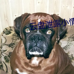 云盘泄露(露)小(小)情(情)侣(侶)家(家)里(裏)
