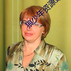 狼少年资源站