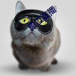 黄瓜直播