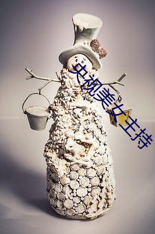 央视美女主持