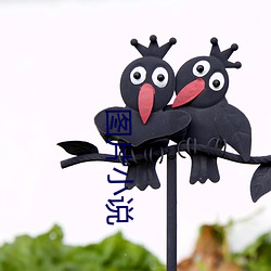 图片小说 （贼心）