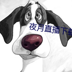 918博天堂·(中国)手机版客户端