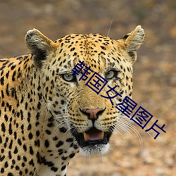 vwinӮ(й) - ٷվ