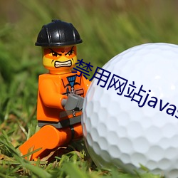 禁用网站javascript （包圆儿）