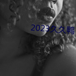 2023久久鸭