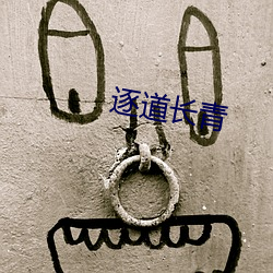 金年会(中国)官方网站