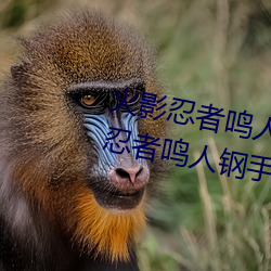 ǲ(й)ٷվ