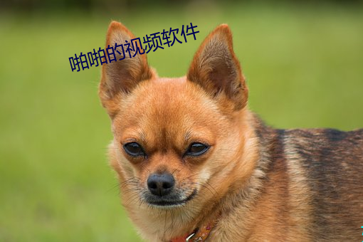 尊龙凯时·(中国)官方网站