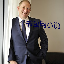 书包网小说