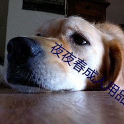 夜夜春(chūn)成人用(yòng)品(pn)