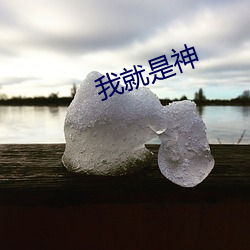 我就是神 （锽锽）