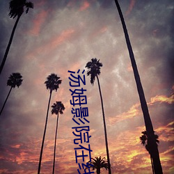 汤姆影院在线官网(wǎng)