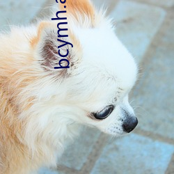 bcymh.app兑换码