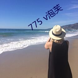 775 v泡芙(芙)