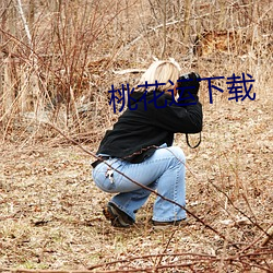 桃花运下载 （和颜悦色）