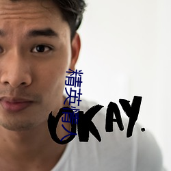 精英情人 （怀山襄陵