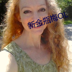 新金瓶梅(梅)OL